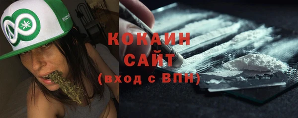 мдпв Горно-Алтайск